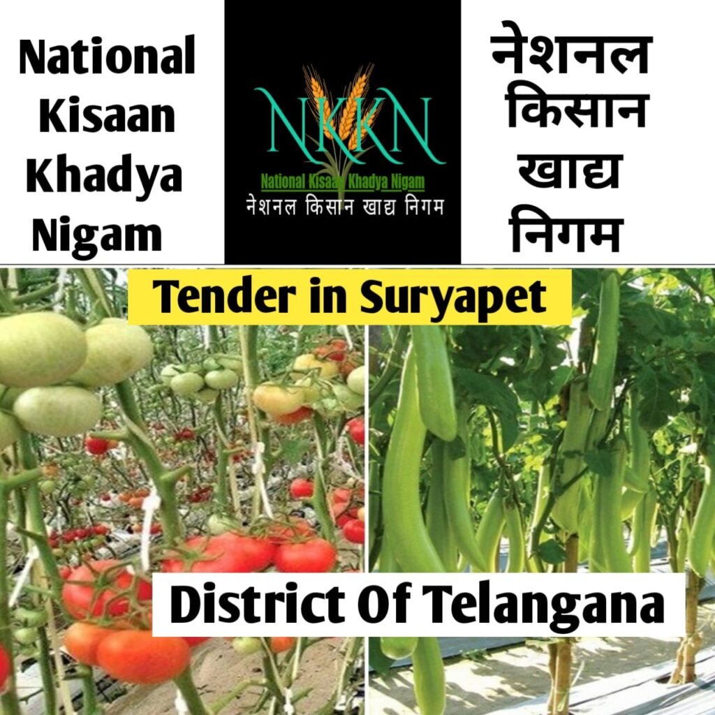 Tender in National Kisaan Khadya Nigam